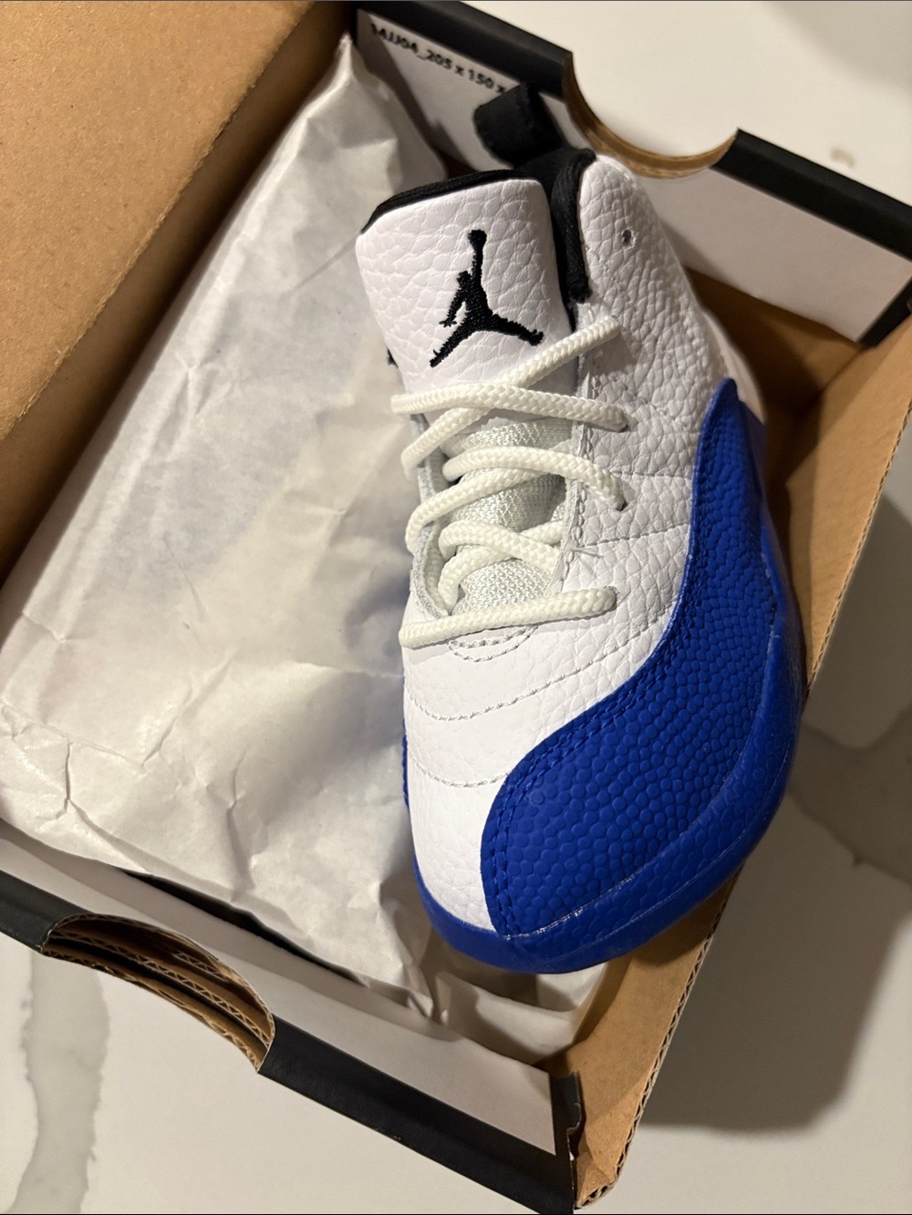 jordan 12 retro